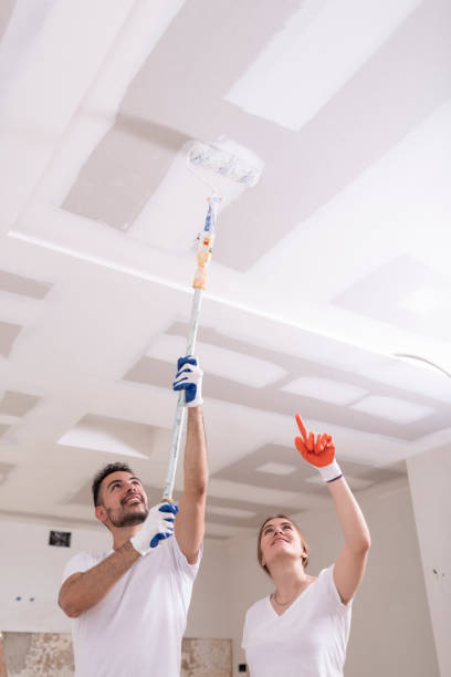 Best Water Damage & Mold Remediation  in Sharpsville, PA