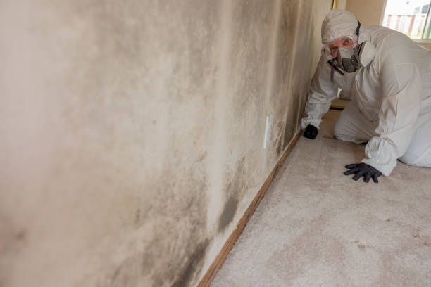 Best Residential Mold Inspection & Testing  in Sharpsville, PA